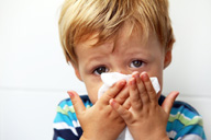 The Risk of Roaches: How to Keep Your Home Allergen Free