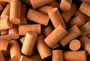 From Bark to Wine Stopper to Footwear -- the Story of Cork From Bark to Wine Stopper to Footwear -- the Story of Cork