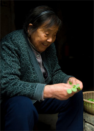 <b>U.S. Companies Bolster China's Health</b>