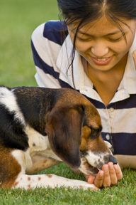 <b>Good Nutrition for the Whole Family, Even the Four-Legged Members</b>“></td>
<td>
<p>(<a href=