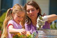 <b>Home Projects Becoming Real Entertainment</b>“></td>
<td>
<p>(<a href=
