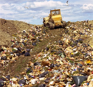 <b>Today's Trash to Pave Tomorrow's Roads</b>