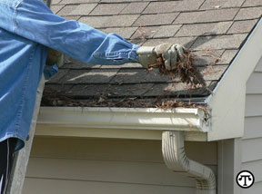 Ladder Safety Should Be Tops for Home Improvers Ladder Safety Should Be Tops for Home Improvers