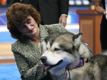 <b>World's Top Dogs Take the Stage</b>