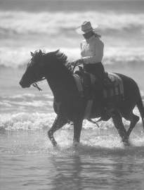 <b>America's 'Mane' Attraction: The Golden Age of Horses</b>