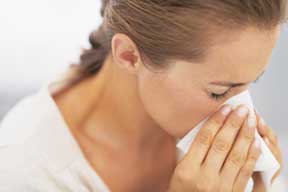 The Indoor Allergen That Might Surprise You The Indoor Allergen That Might Surprise You